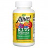 Nature's Way Alive! Kid's Chewable Multivitamin - Детский Комплекс Витаминов и Минералов 120 жевательных таблеток